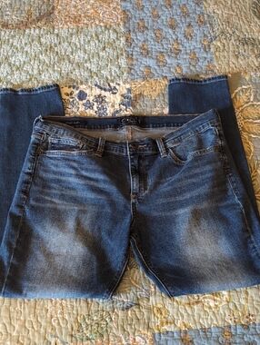 Lucky Brand Charlie Skinny Jeans Sz 14/32